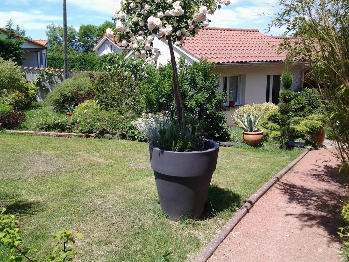 Erable Pourpre * Saint-Georges-Haute-Ville